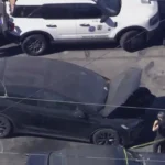 Decomposing Body of 15-Year-Old Girl Found in D4vd Singers Tesla
