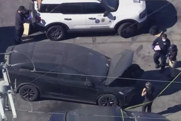 Decomposing Body of 15-Year-Old Girl Found in D4vd Singers Tesla