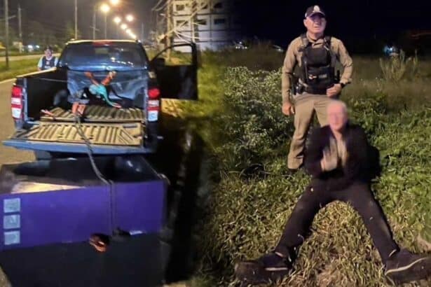 Dutch Expat Steals ATM Machine