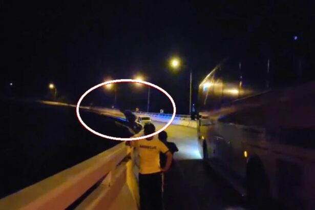 Man Stops Pickup Truck on Bridge then Jumps to his Death