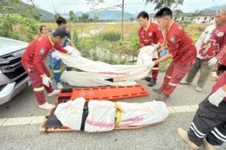 Married Couple Killed after Crashing into a Cow