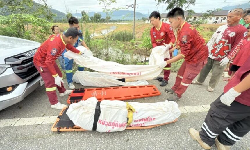 Married Couple Killed after Crashing into a Cow