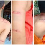 Novice Monks Being Abused at Phayao Temple