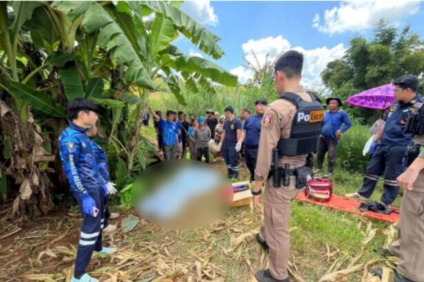 Police, Chiang Rai, Murder