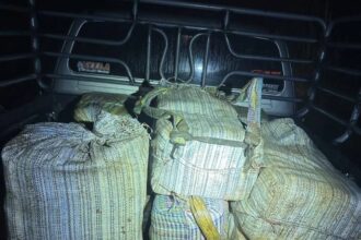 picjup, meth pills, Chiang Mai