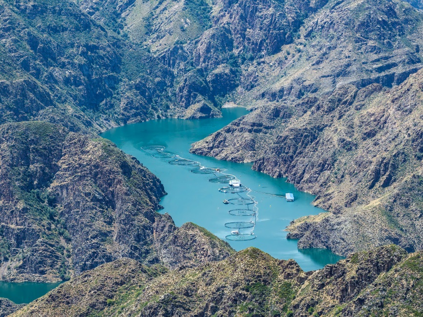 Xinjiang China Makes Impossible Salmon Farming Possible