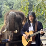 Thai Rock Singer Pee Saderd to Raise Funds for Mae Taeng Elephant Hospital