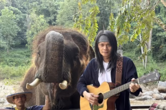 Thai Rock Singer Pee Saderd to Raise Funds for Mae Taeng Elephant Hospital