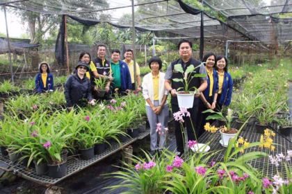 Chiang Rai Horticultural Research Centre Introduced 2 New Orchid Varieties