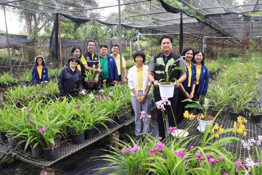 Chiang Rai Horticultural Research Centre Introduced 2 New Orchid Varieties