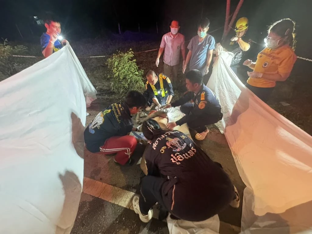 Police Officer Killed, Drunk Driver, Phayao
