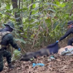 Pha Muang Task Force Kills 6 Drug Runners