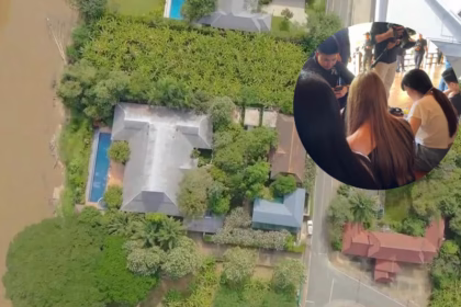 Chinese, Chiang Mai, Scam Centre