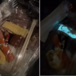 Glow in the Dark Sushi Sparked Concern on Social Media