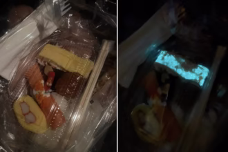 Glow in the Dark Sushi Sparked Concern on Social Media