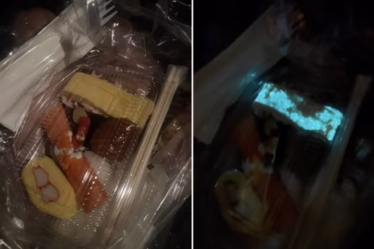 Glow in the Dark Sushi Sparked Concern on Social Media