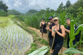 Eco-Tourism in Thailand: Responsible Travel Tips & Destinations