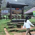 Chiang Mai Temperatures at Doi Inthanon Dip to 10°C