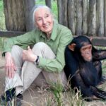 Jane Goodall, Pioneering Primatologist, Dies at 91