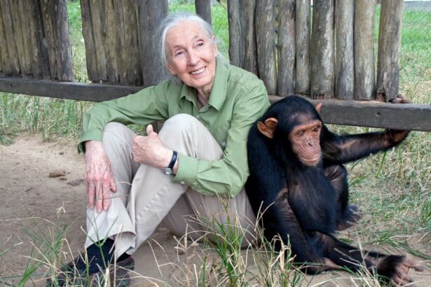 Jane Goodall, Pioneering Primatologist, Dies at 91