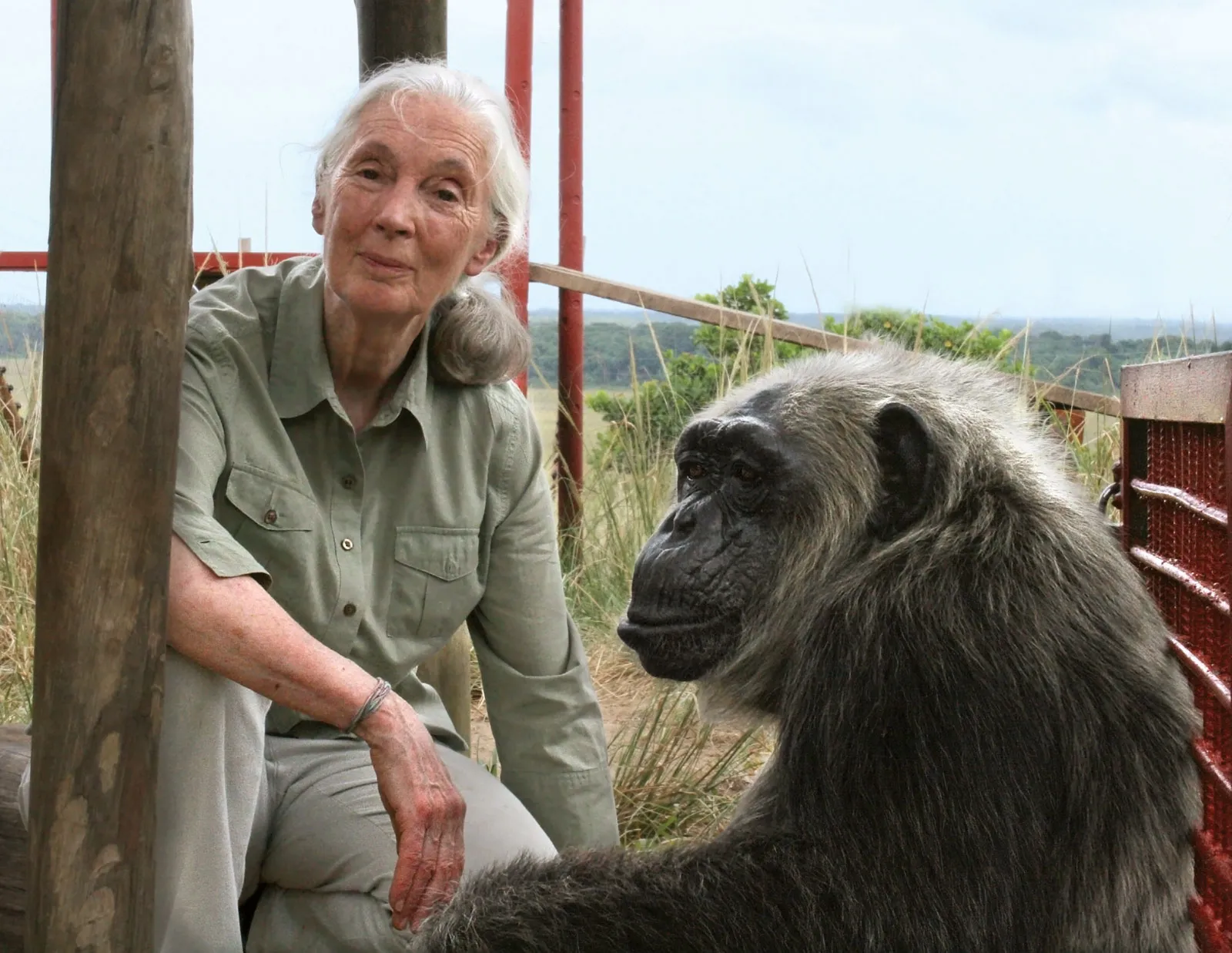 Conservation Groups Pay Tribute