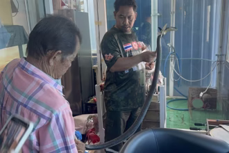 King Cobra Thailand