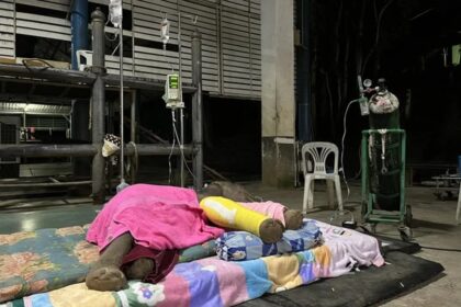 Lampang Elephant Hospital Team Rushes to Save Newborn Elephant Calf