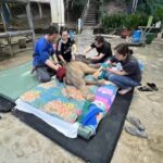 Lampang Elephant Hospital Team Rushes to Save Newborn Elephant Calf