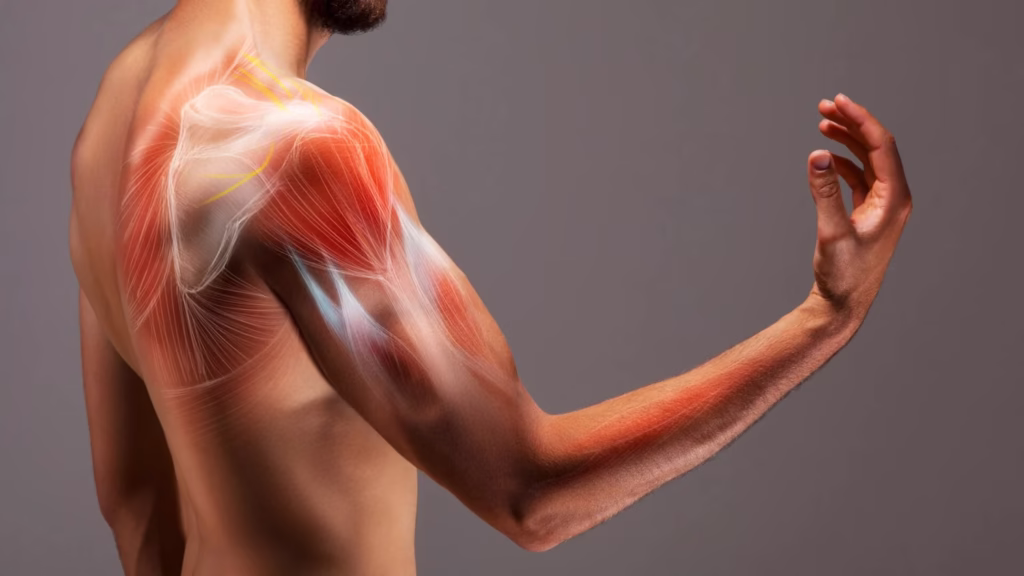 Sleep Hacking for Muscle Recovery