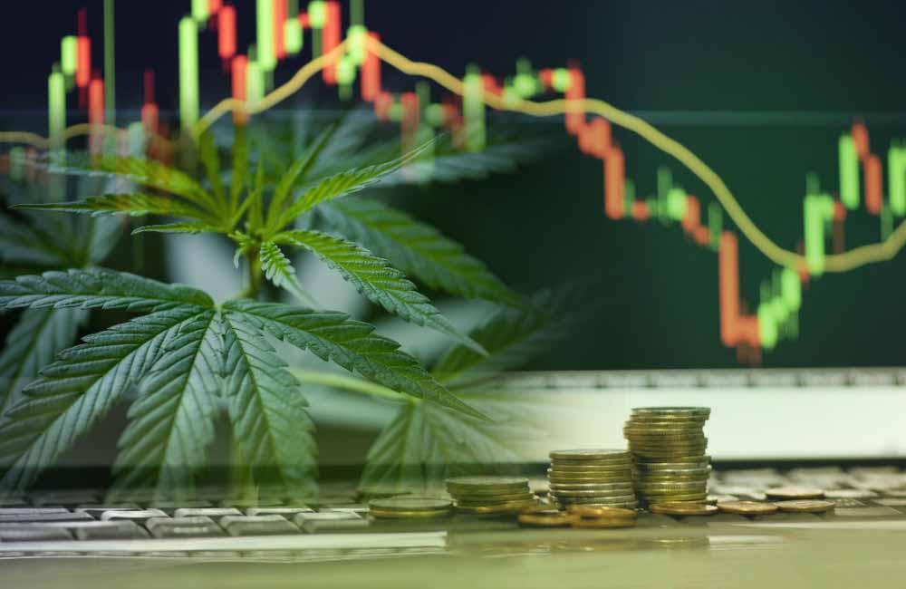 cannabis-market