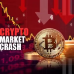 crypto market crashes