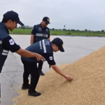 Sticky Rice Famers Assured Protection