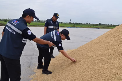 Sticky Rice Famers Assured Protection