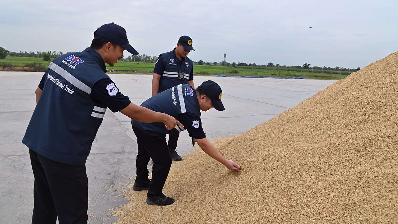 Sticky Rice Famers Assured Protection