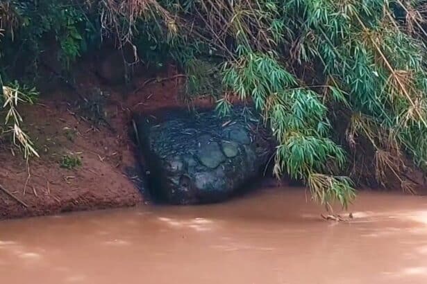 Giant Snake Rock Draws Crowds Worshipers