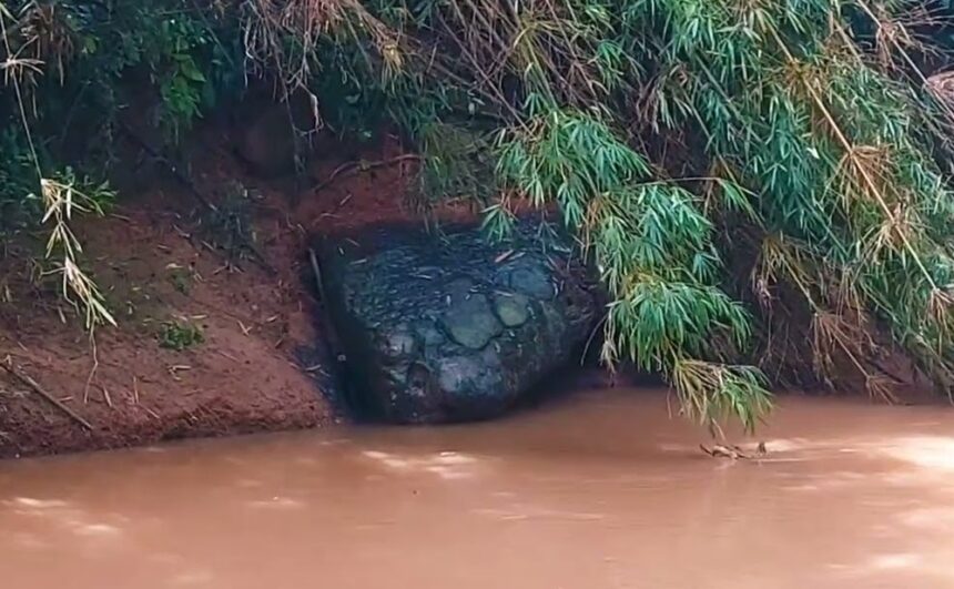 Giant Snake Rock Draws Crowds Worshipers