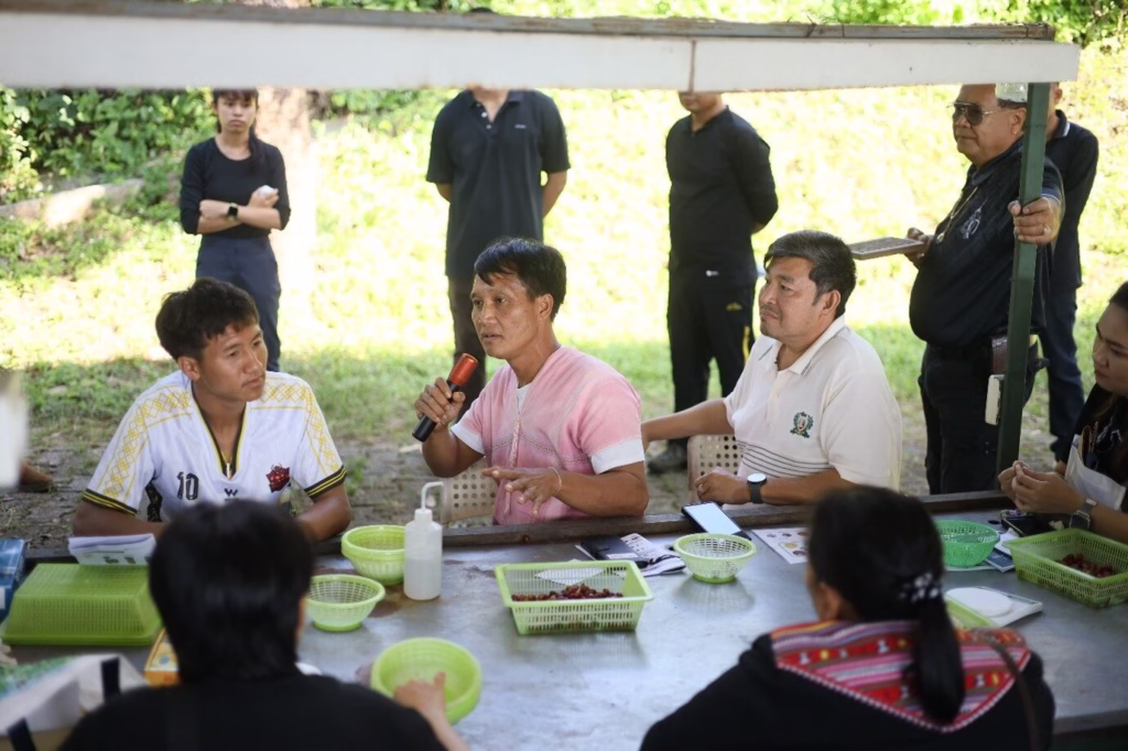 GULF Joins With Doi Tung Development Project to Teach on Coffee Production