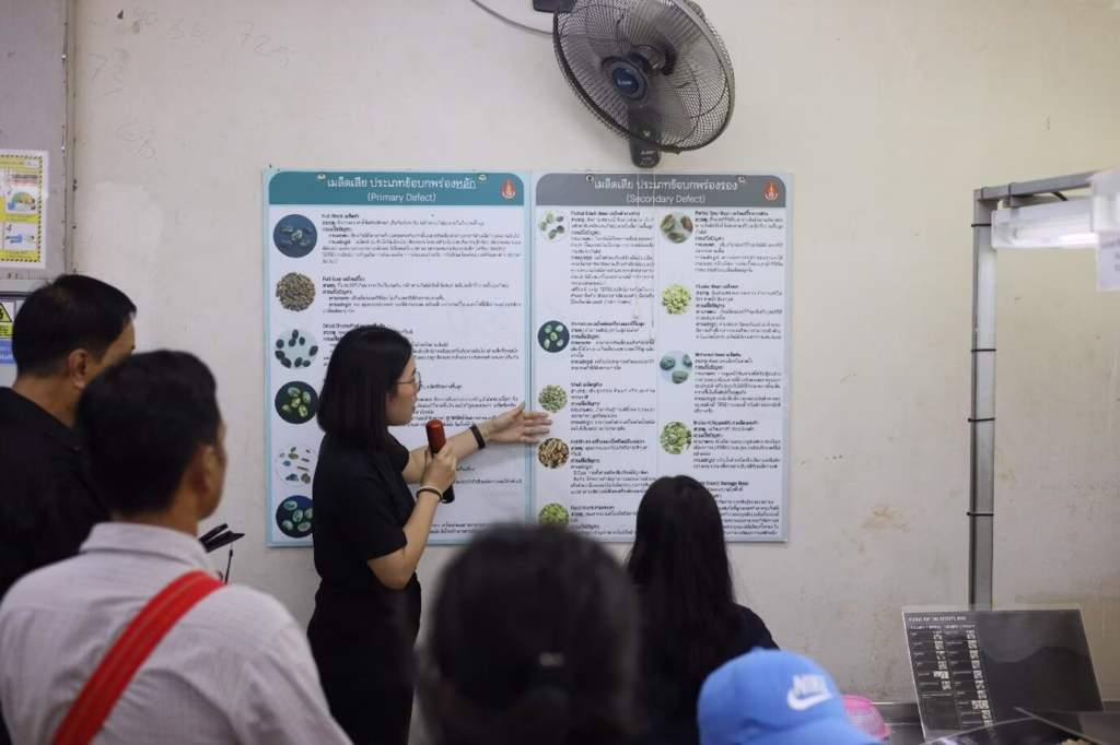 GULF Joins With Doi Tung Development Project to Teach on Coffee Production