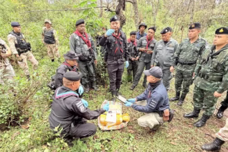 Pha Muang Task Force
