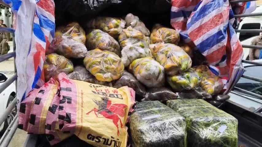 Police Northern thailand