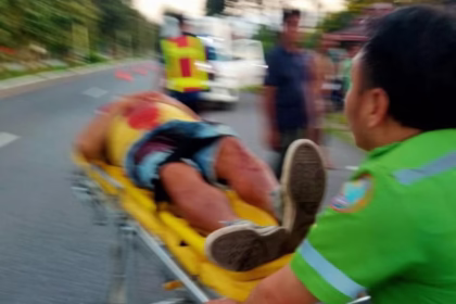 School bus Crashes into Tree