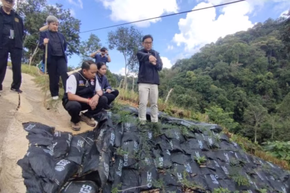 PTT Green Globe Institute Plants Vetiver Grass