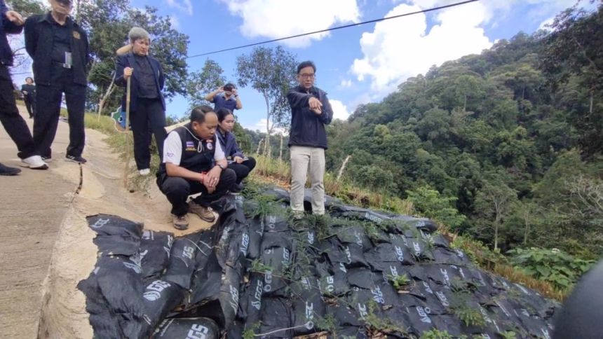 PTT Green Globe Institute Plants Vetiver Grass