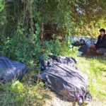 Police Seize 5 Million Meth Pills in Phayao