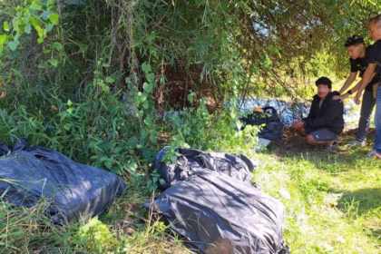 Police Seize 5 Million Meth Pills in Phayao