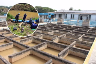 Chiang Rai Tap Water