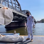 Chiang Rai Woman Found dead in Chao Phraya River(