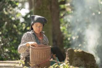 Chiang Rai's Huai Nam Guen Offers Premium Thai Cultural Experience