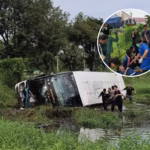 Double-Decker Bus Crashes