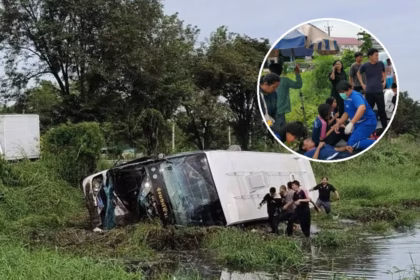 Double-Decker Bus Crashes